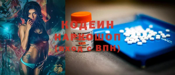 индика Вязьма