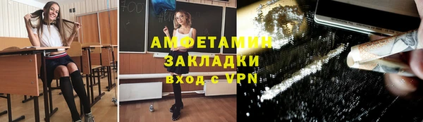индика Вязьма