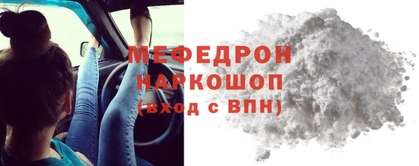 гашик Няндома