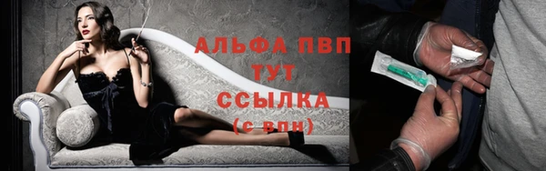 индика Вязьма