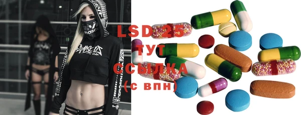индика Вязьма