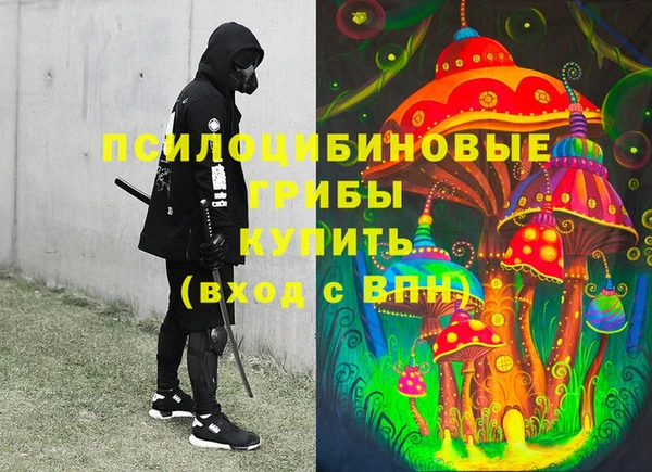 индика Вязьма