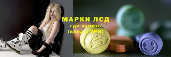 индика Вязьма