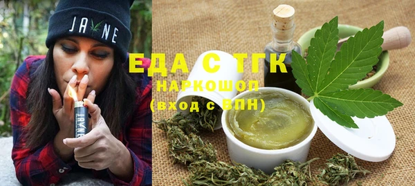 индика Вязьма