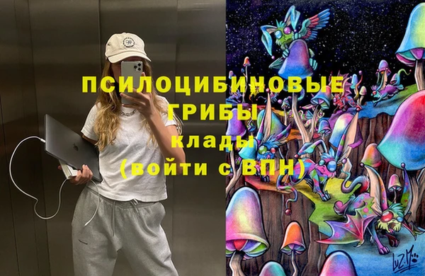 индика Вязьма