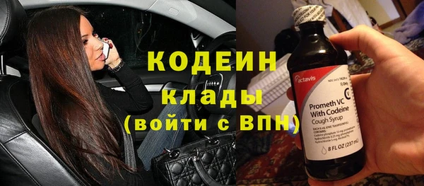 индика Вязьма
