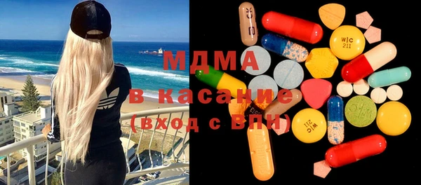 индика Вязьма