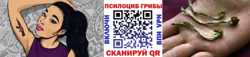 Галлюциногенные грибы мицелий  Купить закладки  Исилькуль 